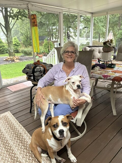 Abby Home