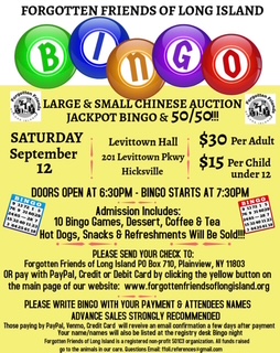 Music Bingo 9-12-26