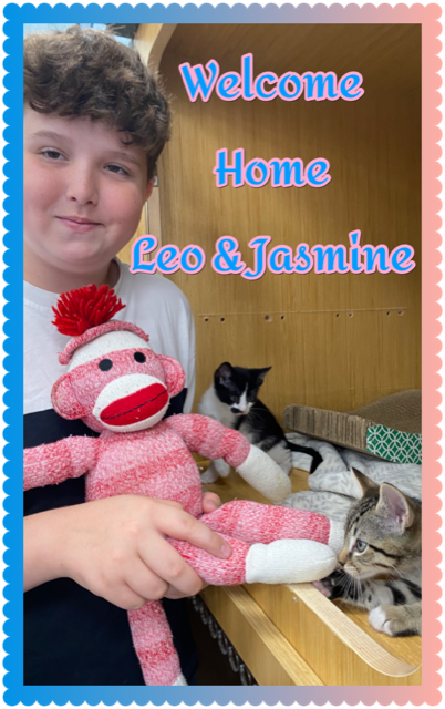 cat adoption Leo & Jasmine