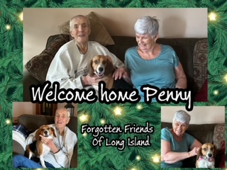 Penny Home