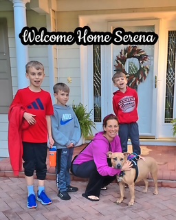 Serena Home