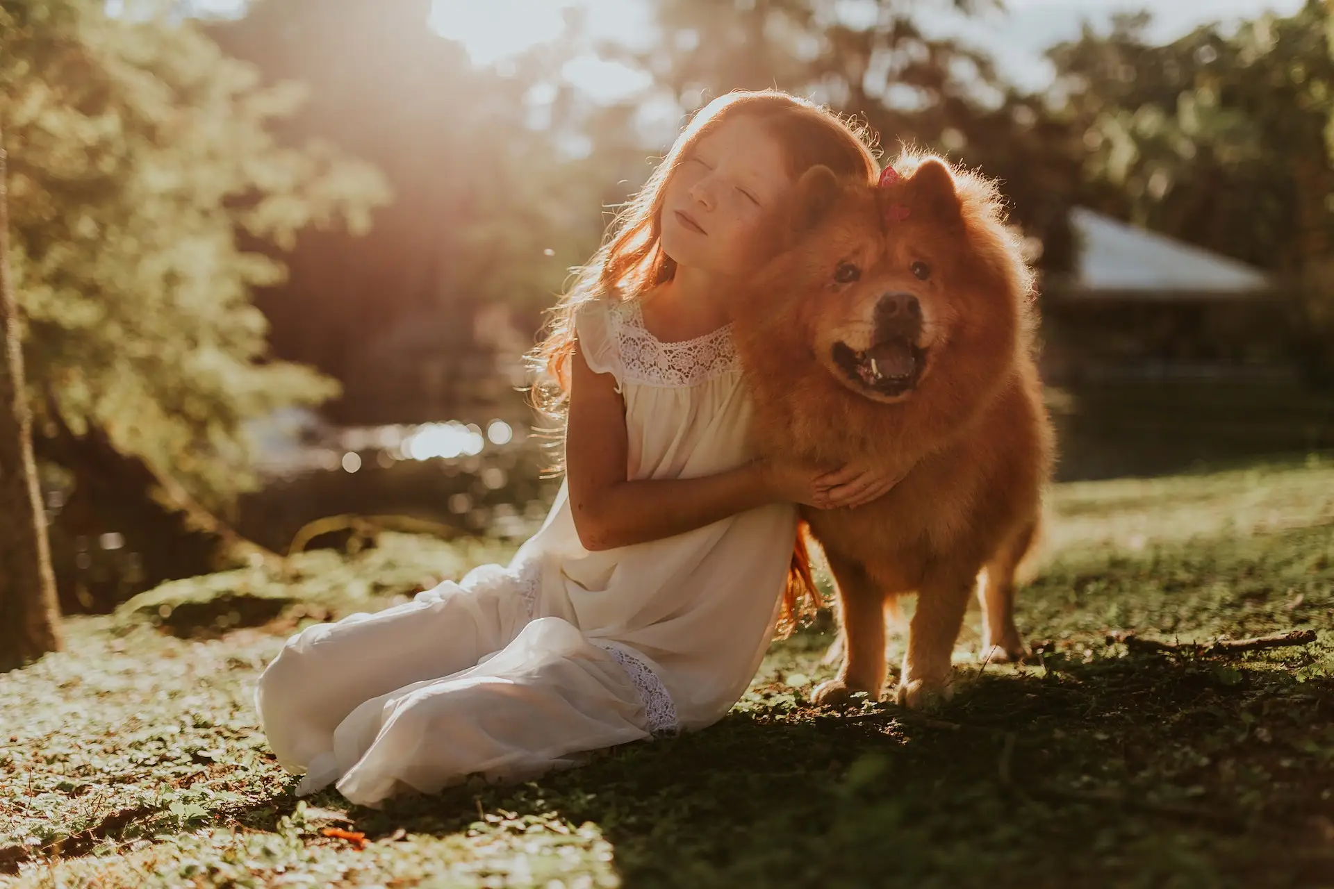Young girl dressed in white with tan dog on grass in sunlight 