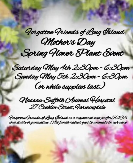 Mother's Day Plant Sale